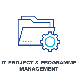  IT Project and Programme Management 